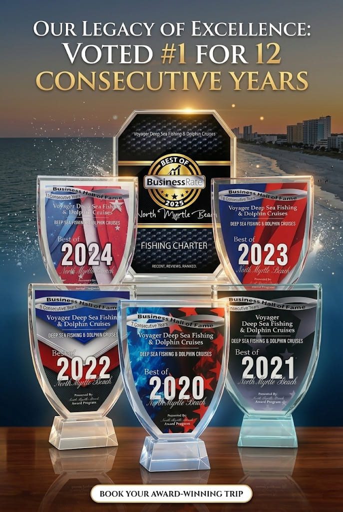 Voyager Deep Sea Fishing & Dolophin Tour Awards!